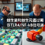 益生菌和益生元通过调节TLR4/NF-kB信号通路,改善过敏性哮喘炎症和肺炎(图4) 益生菌和益生元通过调节TLR4/NF-kB信号通路,改善过敏性哮喘炎症和肺炎(图4)
