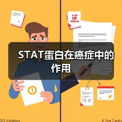 STAT蛋白在癌症中的作用（图3）