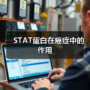 STAT蛋白在癌症中的作用（图2）