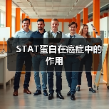 STAT蛋白在癌症中的作用（图1）