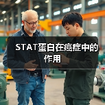 STAT蛋白在癌症中的作用（图4）