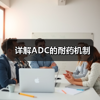 详解ADC的耐药机制(图4) 详解ADC的耐药机制(图4)
