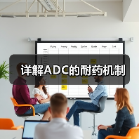 详解ADC的耐药机制(图1) 详解ADC的耐药机制(图1)