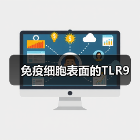 免疫细胞表面的TLR9（图1）