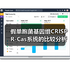 假单胞菌基因组CRISPR-Cas系统的比较分析（图2）