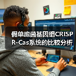 假单胞菌基因组CRISPR-Cas系统的比较分析（图4）