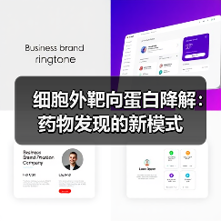 细胞外靶向蛋白降解:药物发现的新模式(图4) 细胞外靶向蛋白降解:药物发现的新模式(图4)
