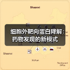 细胞外靶向蛋白降解:药物发现的新模式(图3) 细胞外靶向蛋白降解:药物发现的新模式(图3)
