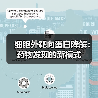 细胞外靶向蛋白降解:药物发现的新模式(图2) 细胞外靶向蛋白降解:药物发现的新模式(图2)