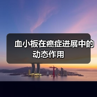 血小板在癌症进展中的动态作用（图1）