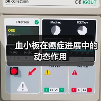 血小板在癌症进展中的动态作用（图3）