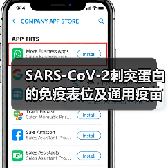 SARS-CoV-2刺突蛋白的免疫表位及通用疫苗开发的考量(图3) SARS-CoV-2刺突蛋白的免疫表位及通用疫苗开发的考量(图3)
