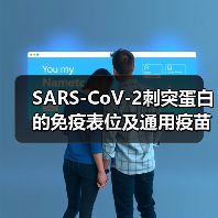 SARS-CoV-2刺突蛋白的免疫表位及通用疫苗开发的考量(图1) SARS-CoV-2刺突蛋白的免疫表位及通用疫苗开发的考量(图1)