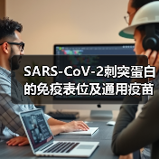 SARS-CoV-2刺突蛋白的免疫表位及通用疫苗开发的考量(图4) SARS-CoV-2刺突蛋白的免疫表位及通用疫苗开发的考量(图4)