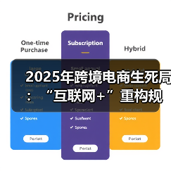 2025年跨境电商生死局:“互联网+”重构规则,全域营销杀出血路(图4) 2025年跨境电商生死局:“互联网+”重构规则,全域营销杀出血路(图4)