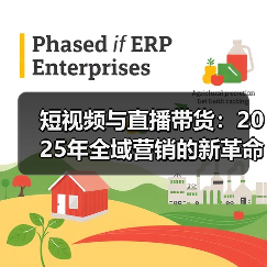 短视频与直播带货:2025年全域营销的新革命(图4) 短视频与直播带货:2025年全域营销的新革命(图4)