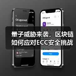 量子威胁来袭，区块链如何应对ECC安全挑战？（图2）