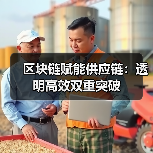 区块链赋能供应链：透明高效双重突破（图2）