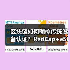 区块链如何颠覆传统设备认证？RedCap+eSIM技术开启低功耗设备管理新时代（图4）