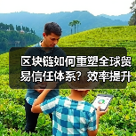 区块链如何重塑全球贸易信任体系？效率提升与成本下降（图1）