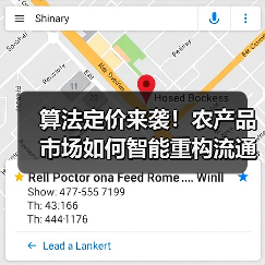 算法定价来袭!农产品市场如何智能重构流通体系(图1) 算法定价来袭!农产品市场如何智能重构流通体系(图1)