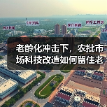 老龄化冲击下，农批市场科技改造如何留住老年客群？（图3）