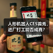人形机器人CES首秀,进厂打工能否成真?(图3) 人形机器人CES首秀,进厂打工能否成真?(图3)