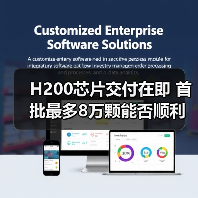 H200芯片交付在即 首批最多8万颗能否顺利落地?(图3) H200芯片交付在即 首批最多8万颗能否顺利落地?(图3)