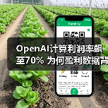 OpenAI计算利润率飙至70% 为何盈利数据背后暗藏危机？（图4）