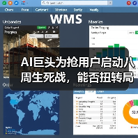 AI巨头为抢用户启动八周生死战,能否扭转局势?(图3) AI巨头为抢用户启动八周生死战,能否扭转局势?(图3)