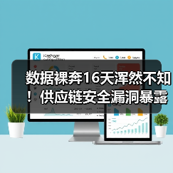 数据裸奔16天浑然不知！供应链安全漏洞暴露（图1）