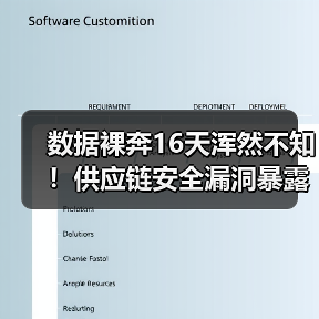 数据裸奔16天浑然不知！供应链安全漏洞暴露（图3）