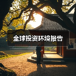 全球投资环境报告（图2）