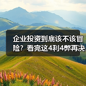 企业投资到底该不该冒险？看完这4利4弊再