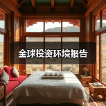 全球投资环境报告（图3）
