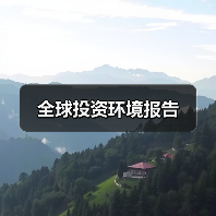 全球投资环境报告（图4）