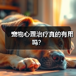 宠物心理治疗真的有用吗?(图1) 宠物心理治疗真的有用吗?(图1)
