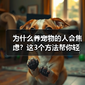 为什么养宠物的人会焦虑？这3个方法帮你轻松应对（图1）