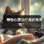 宠物心理治疗真的有用吗?(图3) 宠物心理治疗真的有用吗?(图3)