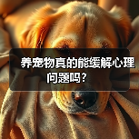 养宠物真的能缓解心理问题吗？（图1）