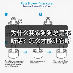 为什么我家狗狗总是不听话?怎么才能让它听我的?(图2) 为什么我家狗狗总是不听话?怎么才能让它听我的?(图2)