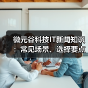 微元谷科技IT新闻知识：常见场景、选择要点与注意事项（图2）