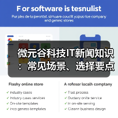 微元谷科技IT新闻知识：常见场景、选择要点与注意事项（图3）
